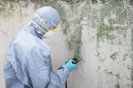 Best Industrial Mold Remediation  in Salem, IL